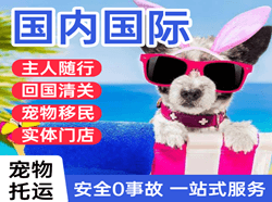 泰州机场物流国际宠物托运 【国